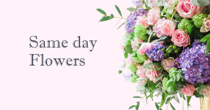 Same day Flowers Bloomsbury